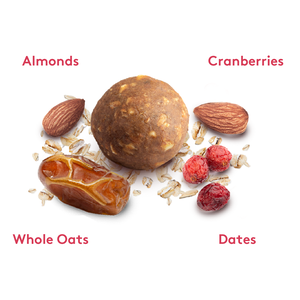 ENERGY BALLS WITH CRANBERRIES 100G (3.5Oz) - Pouches