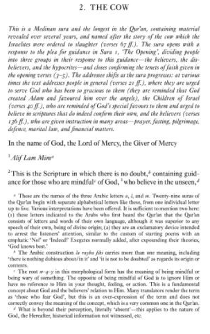 Qur'an: A New Translation - Abdel Haleem